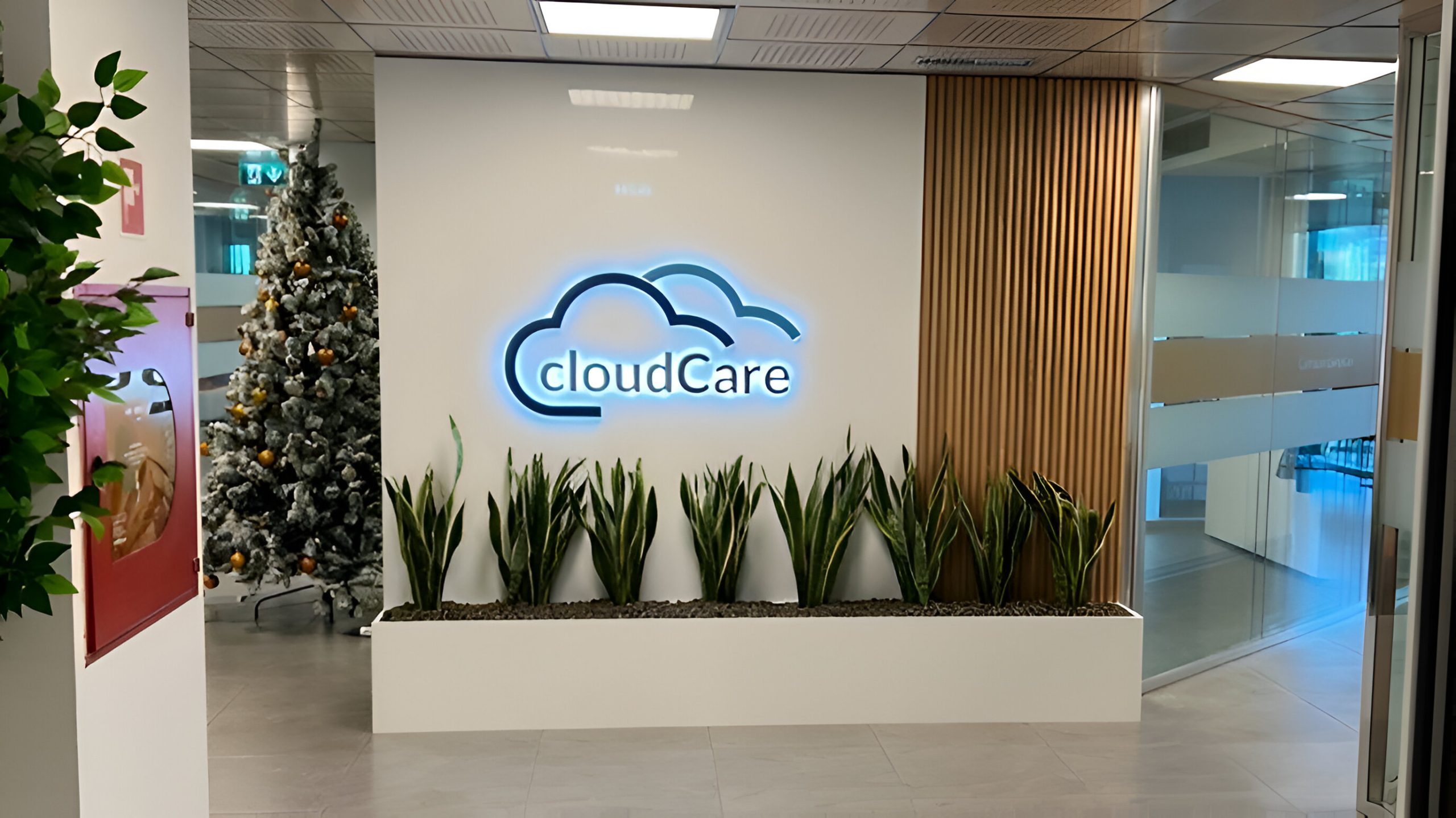 Cloud Care Ing. Conte - Roma